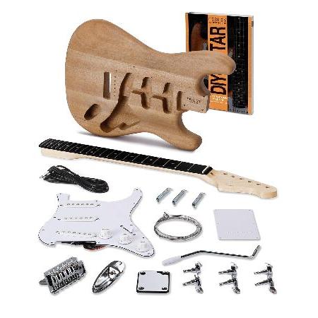 並行輸入品】 Fesley DIY エレキギターキット ポプラボディ