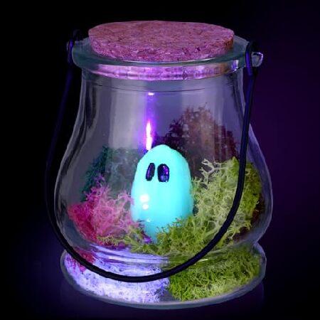 並行輸入品】 HyDren 1セット ハロウィンペットゴースト 瓶に入った