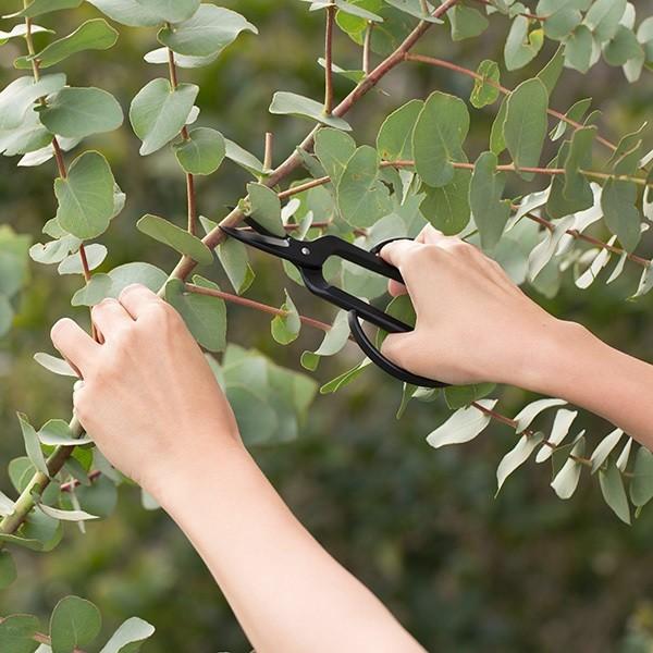 小林製鋏 FLORIST 園芸鋏 ガーデニング : INTERIOR3I - 通販