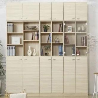 Valvanne バルバーニ WORKSTUDIO ワークスタジオ 80cm 書棚用 オプション扉 ガラス扉 DD-BG80 書斎 本棚 ラック キャビネット 日本製 国産