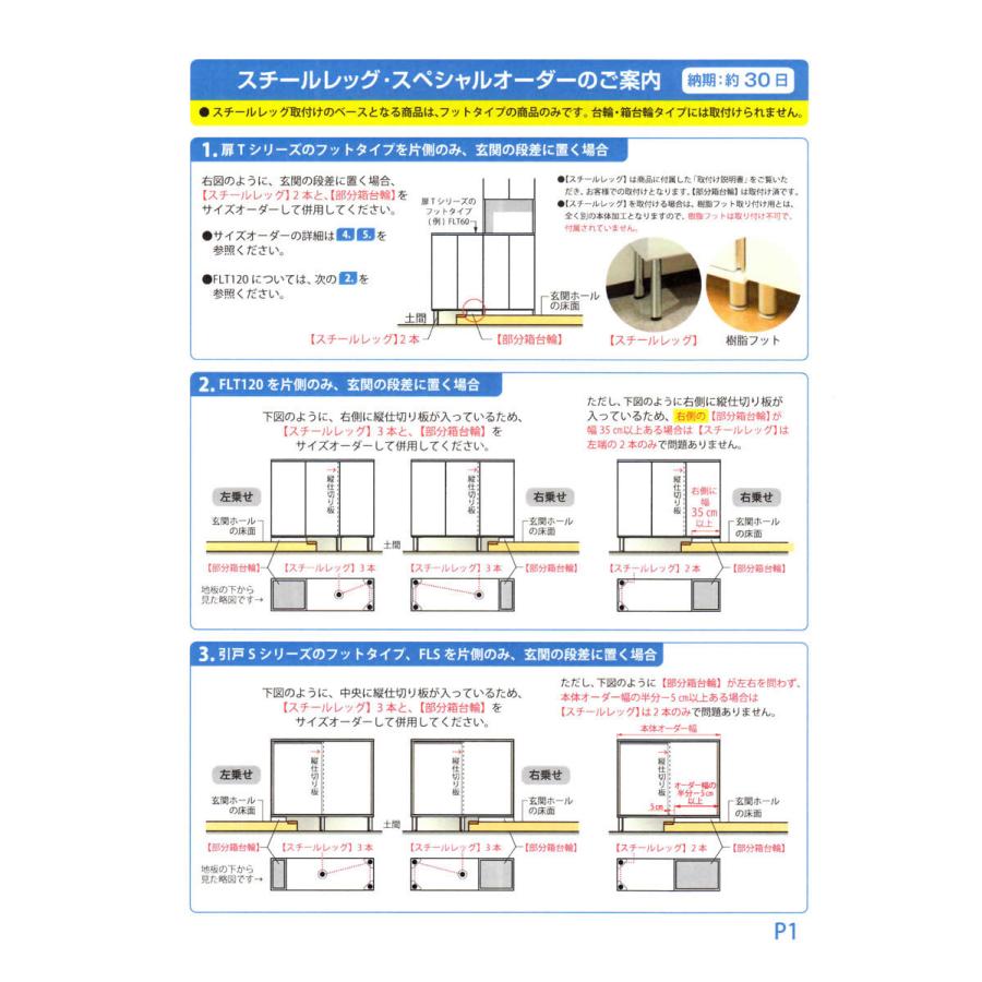 玄関収納 シューズすきまくん フットタイプ FLT60 幅60cm 高さ100cm 下駄箱 シューズボックス ロータイプ 国産 完成品 20足収納 14色対応_6