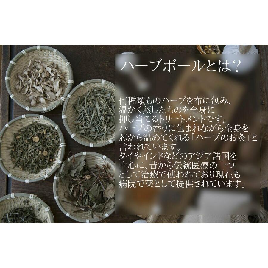 WARoMa HERB ワロマハーブ 和草 ハーブボール 恵 -おぎなう- |  | 03