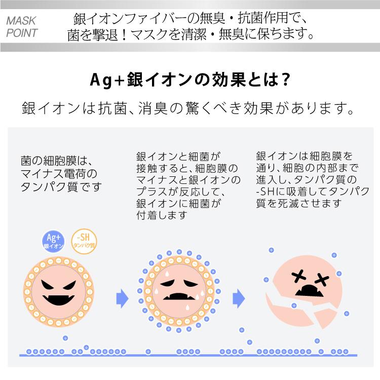 【CARRY Ag 銀ファイバーマスク 】 洗える 布マスク 衛生マスク フィルターポケット付 銀繊維 抗菌 消臭 銀イオン効果 おしゃれ キャリー 台湾製 |  | 06