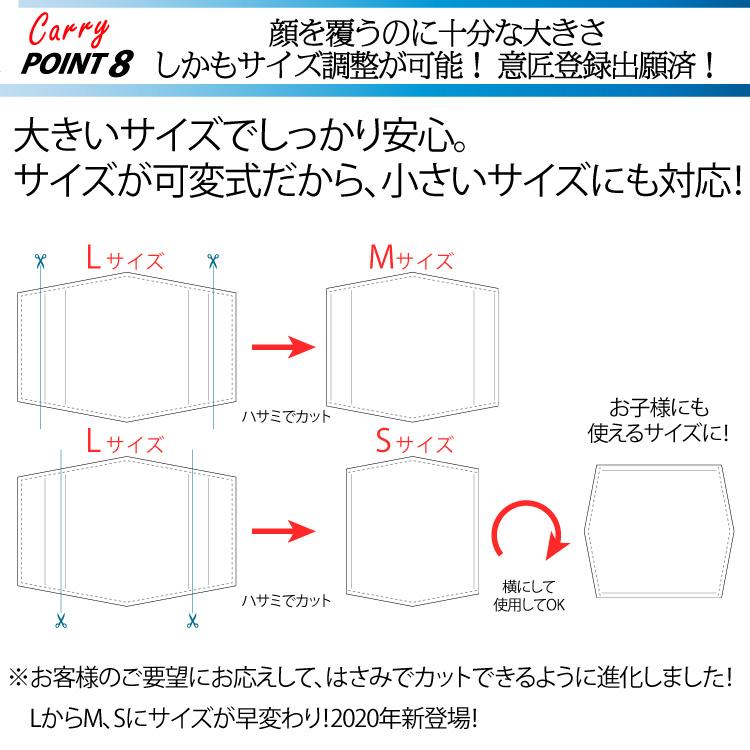 【CARRY N99 マスク 用 ナノ繊維フィルター 】 洗える マスク フィルター 大きい 花粉 PM2.5 ウイルス飛沫 99%カット 不織布 PTFE膜 大人用 子供用 サイズ調節 |  | 10