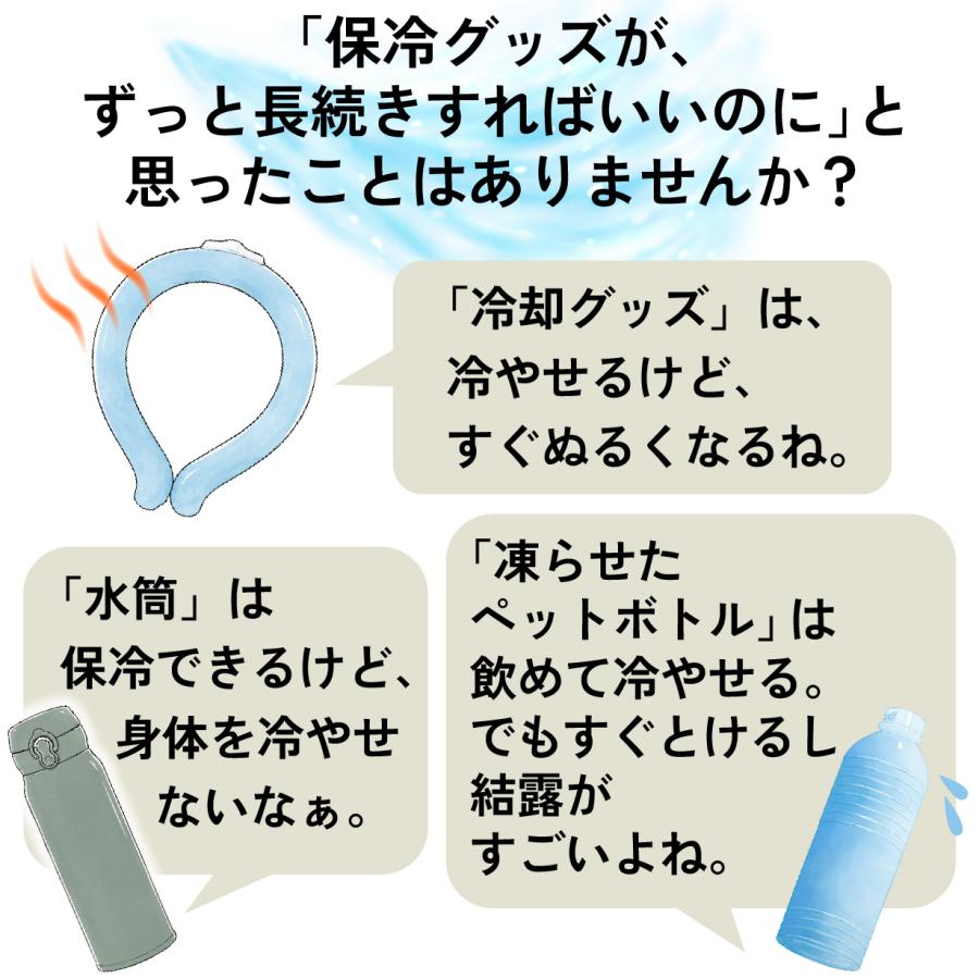 冷たさのカプセル 【 アイスコアボトル 】 TASCAL:NE 本当に 飲める 氷のう 氷嚢 水筒型 水筒 ボトル 魔法瓶 携帯 持ち運び 長持ち 長時間 保冷 保温 子ども |  | 06