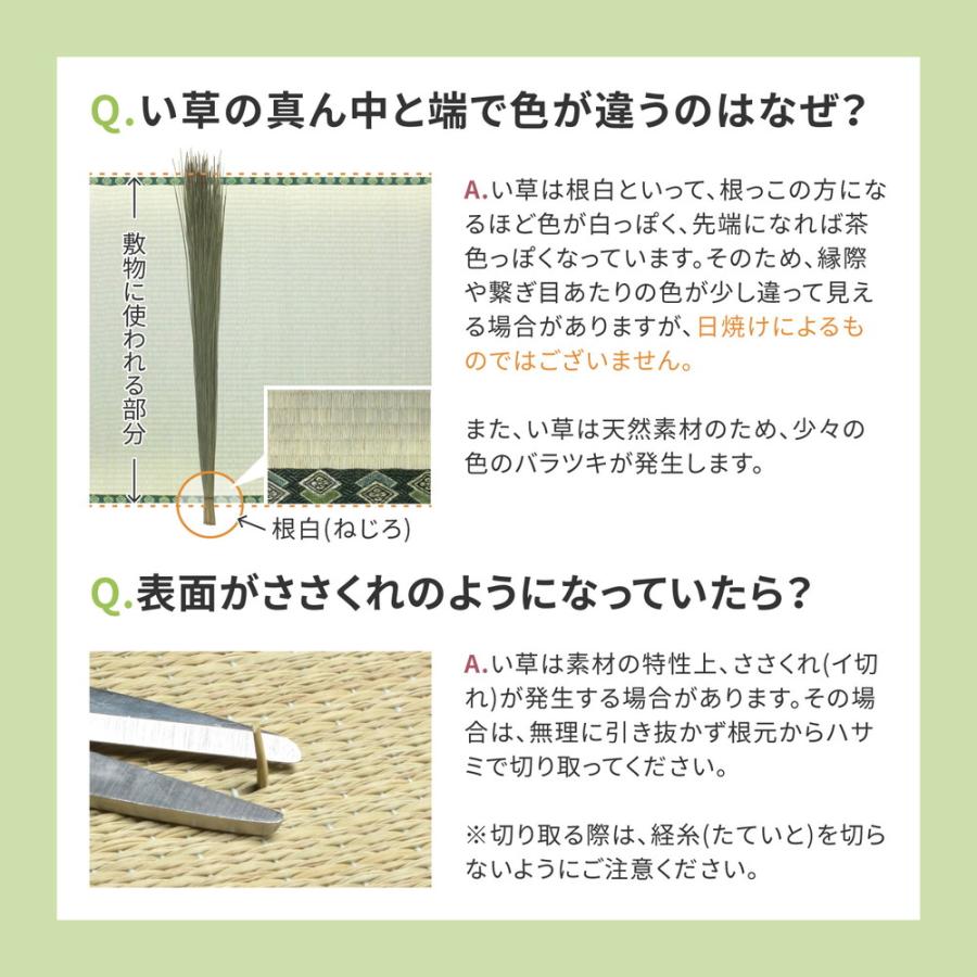 い草上敷き　備前(びぜん)　江戸間8帖 敷きパッド ラグ マット ごろ寝マット 子供　シーツ 井草 イグサ いぐさ 夏用 い草シーツ ねござ 撥水 お昼寝｜interi-ya｜04