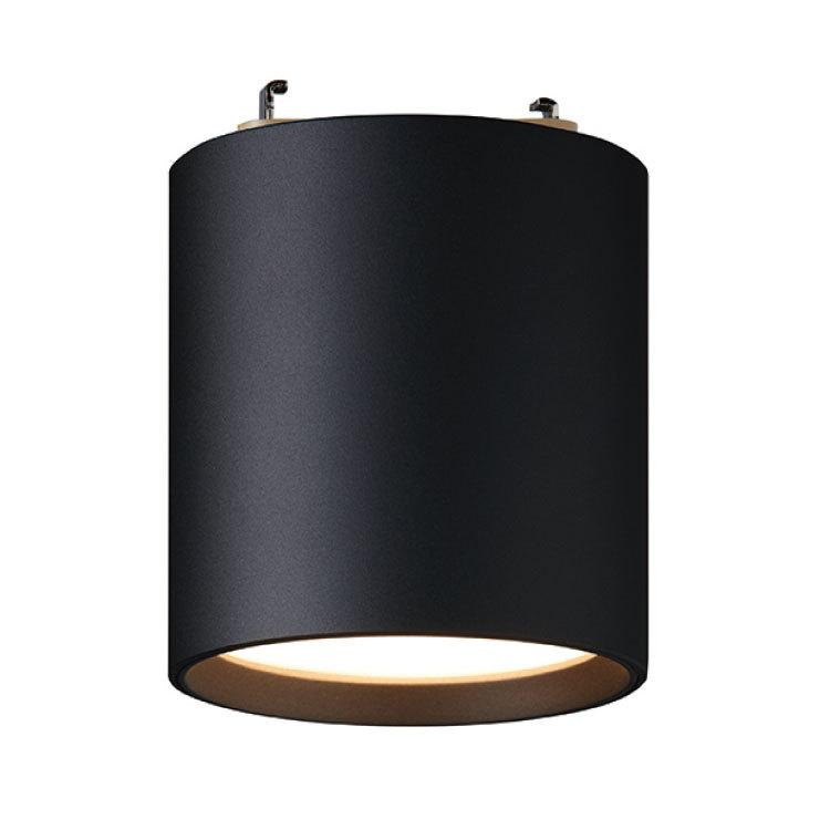 ルイスポールセン　大型ダウンライト 埋め込み式ダウンライト - BALLERUP - Louis Poulsen/ルイス