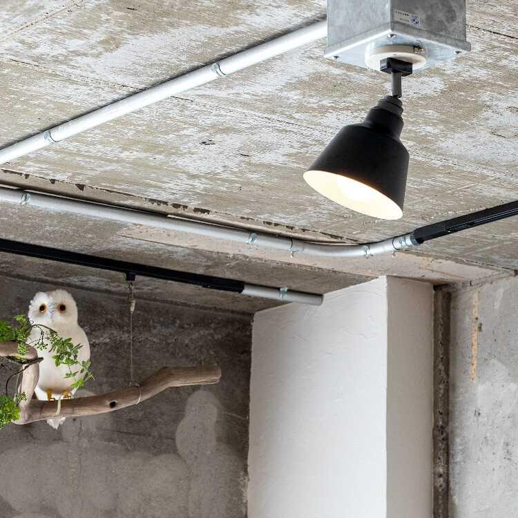 シーリングライト 1灯 スポットライト 黒 ブラック 角度調節 サブ照明