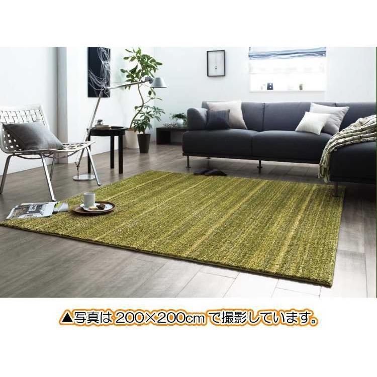 多機能ナイロンラグ 防ダニ 防音 140×200cm 日本製 : インテリアル