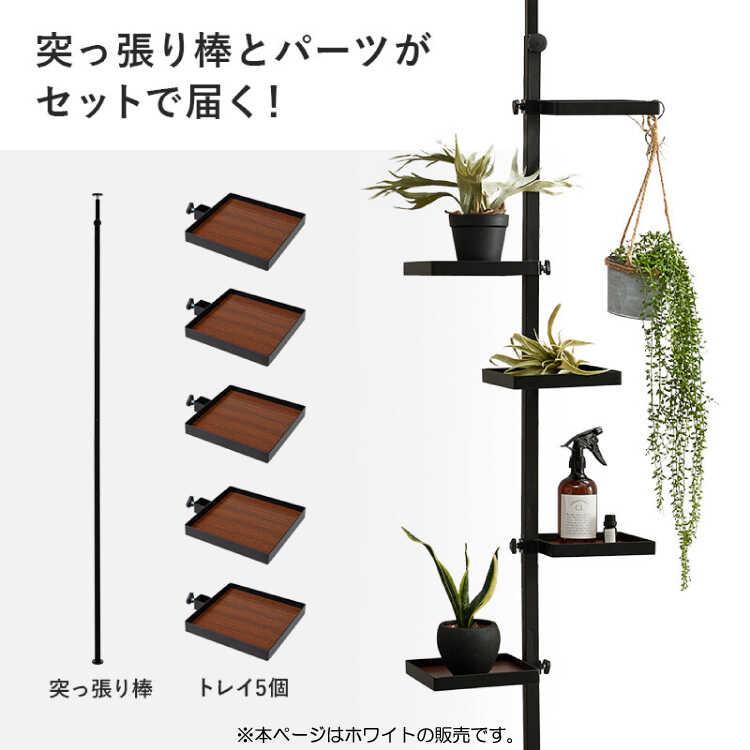 シューズラック オープンラック ディスプレイ棚 白 ホワイト 1人暮らし スニーカー シンプル モダン 縦型収納 つっぱり棒 玄関 |  | 04