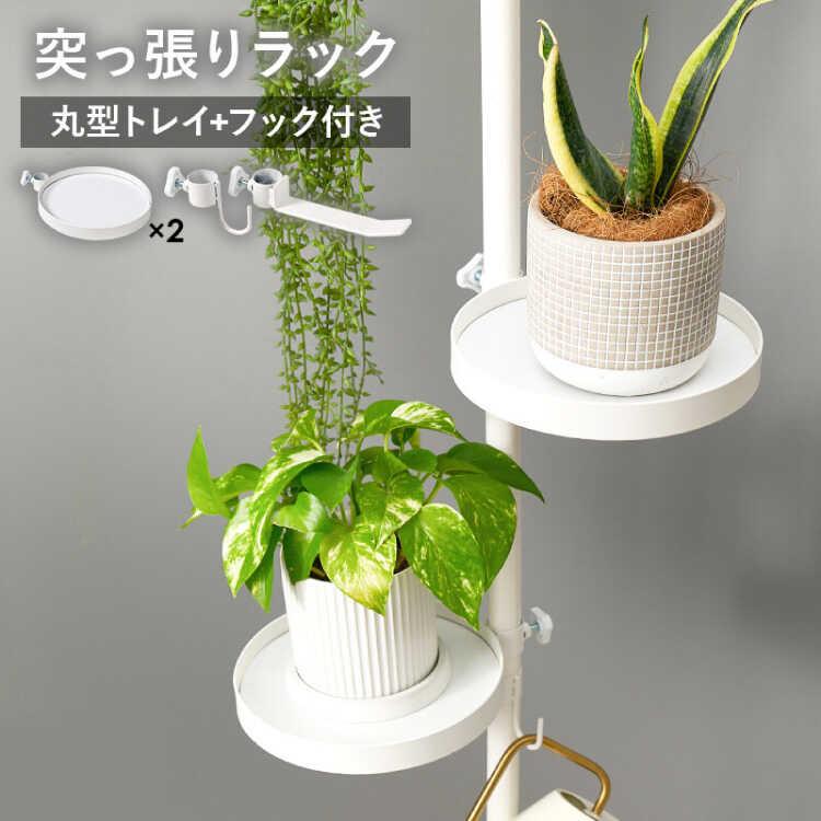 ハンガーラック ポールハンガー 突っ張りラック つっぱり棒 スリム 縦型収納 洋服掛け 白 ホワイト 丸型 玄関用 ワンルーム用 寝室用 リビング用 |  | 02