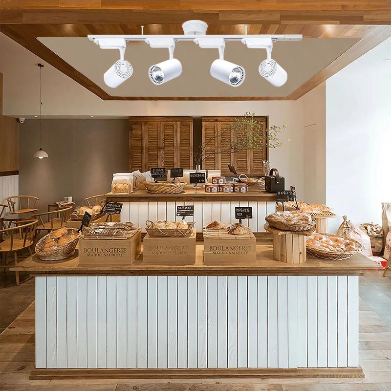 ライティングレール＋ライティングレール専用照明器具✕4 調光調色可能 4灯】LEDスポットライト 調光調色 電球付き リモコン付き ダクト