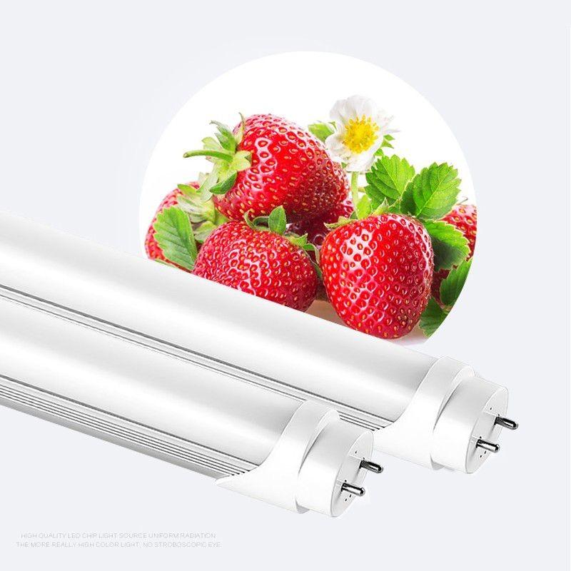 LED蛍光灯 20W形 電球色 直管 58cm 直管led蛍光灯20型 グロー式工事不要 消費電力9W 30本セットの画像