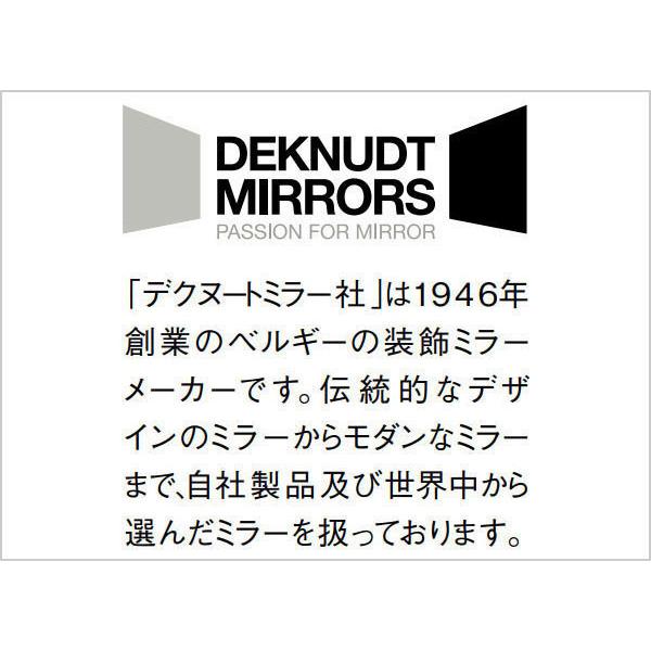 ウォールミラー アンティーク 全身ミラー おしゃれ 壁掛けミラー 北欧