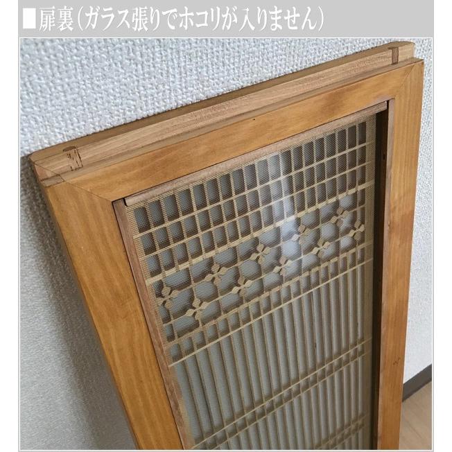 ヤドリギ　153〜発送200サイズ C/D:52693] 観葉植物 ヤドリフカノキ 216 ｜ ORDERING SHOP