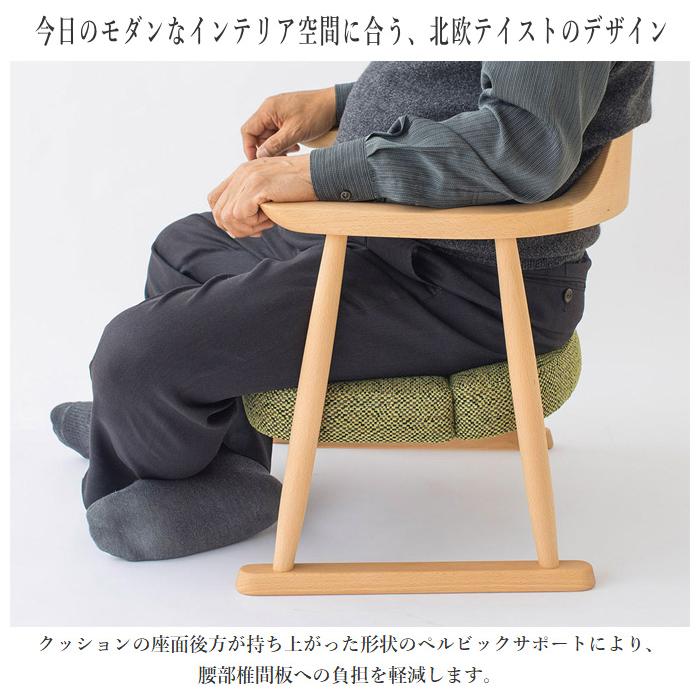 飛騨産業 低座 座椅子 腰痛 高座椅子 高齢者 ローチェア 飛騨産業 低座 座椅子 腰痛 高座椅子 高齢者 ローチェア
