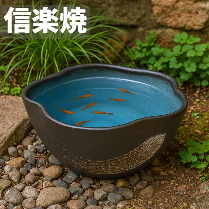 信楽焼 水鉢 陶器 メダカ鉢 おしゃれ めだか鉢 和風 睡蓮鉢 和モダン