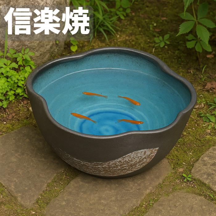 信楽焼 メダカ鉢 陶器 めだか鉢 おしゃれ 水鉢 和風 睡蓮鉢 和モダン