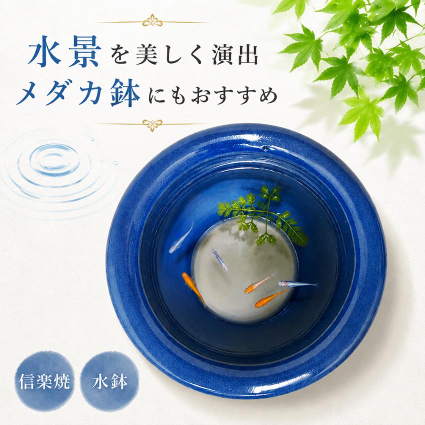 信楽焼 メダカ鉢 陶器 めだか鉢 おしゃれ ビオトープ 睡蓮鉢 大型