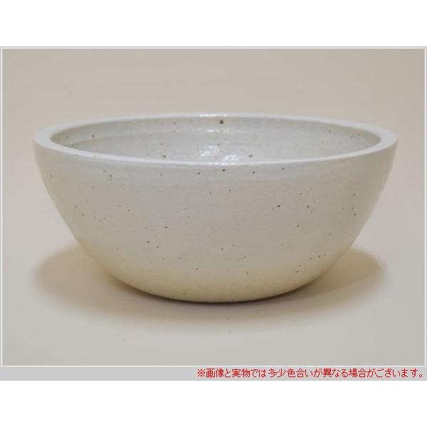 信楽焼 めだか鉢 信楽焼き 陶器 睡蓮鉢 メダカ鉢 白 水鉢 ホワイト