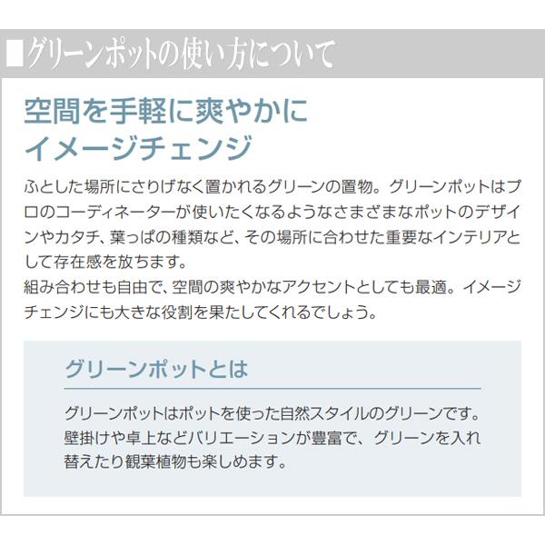 テーブルグリーン モダン 壁掛けグリーン 北欧 グリーンポット おしゃれ デザインポット 造花 インテリア_5