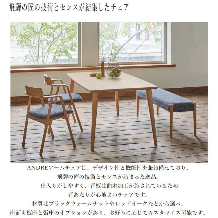 シラカワ ダイニングチェア 北欧 アームチェア 木製 肘付き椅子 シラカワ ダイニングチェア 北欧 アームチェア 木製 肘付き椅子