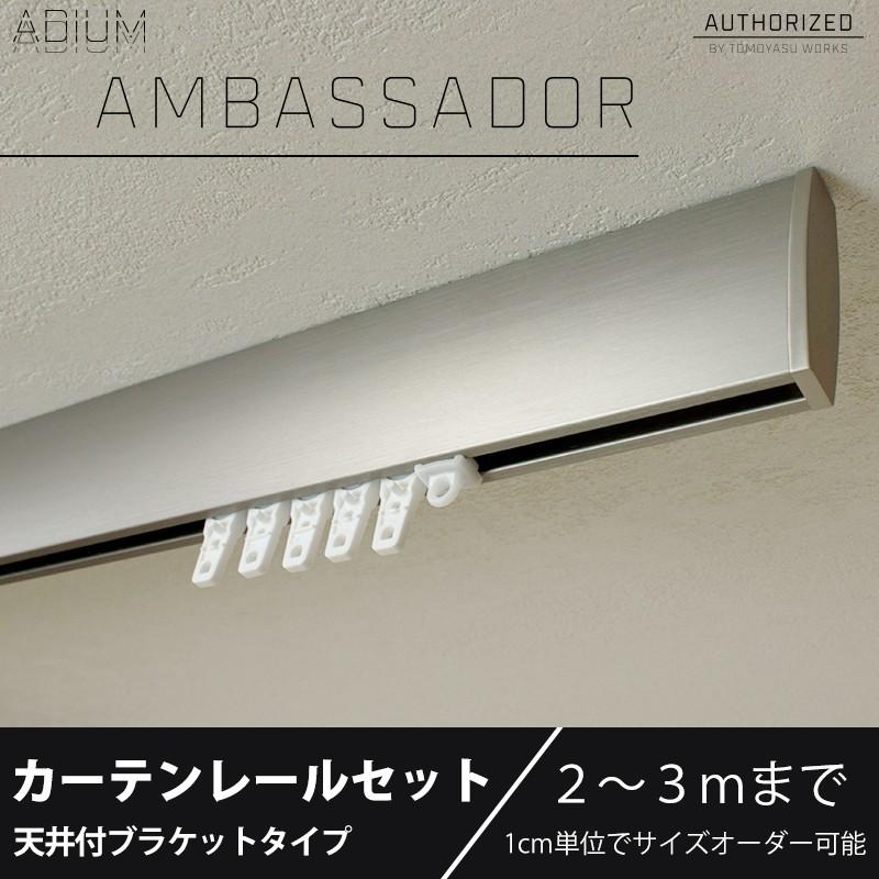 カーテンレール 天井付け アイアン セット おしゃれ Adium Ambassador アンバサダー 2 3mまで Adiamceset03 カーテン レールのインテリアデポ 通販 Yahoo ショッピング
