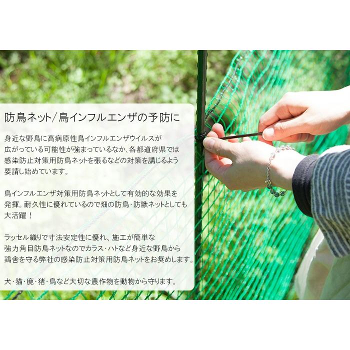 アニマルネット 網 防獣ネット 防鳥ネット 農業用ネット 害獣 防護 獣