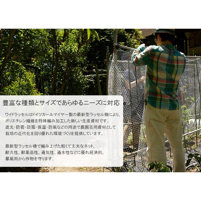 農業用ネット 防風ネット 網 6mm目 園芸用 既製サイズ 幅1.5m×長さ50m