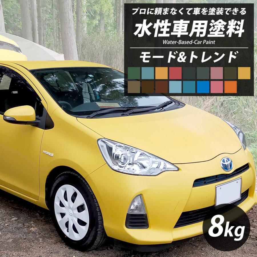 車 塗料 自動車塗料 水性塗料 全塗装 DIY 自分で 艶消し マット カー