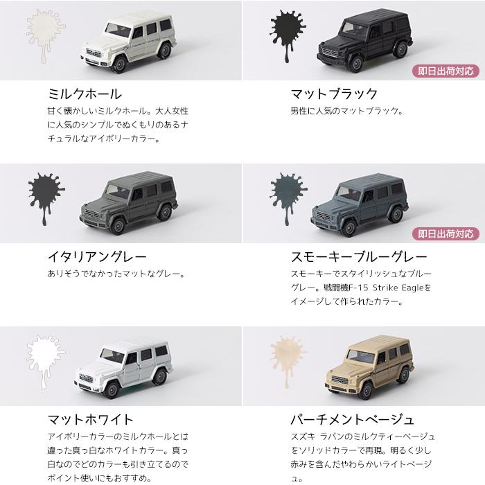 車塗料 自動車塗料 水性塗料 車 全塗装 DIY 艶消し マット カー