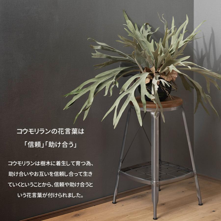 フェイクグリーン 壁掛け 壁 吊り下げ 卓上 置物 観葉植物 インテリアグリーン ハンギングプランツ コウモリランL  C-F-1の画像