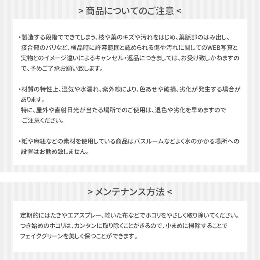 フェイクグリーン 壁掛け 壁 吊り下げ 卓上 置物 観葉植物 インテリアグリーン ハンギングプランツ コウモリランL  C-F-1の画像