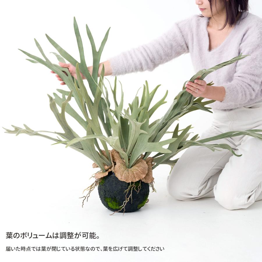 フェイクグリーン 壁掛け 壁 吊り下げ 卓上 置物 観葉植物 インテリアグリーン ハンギングプランツ コウモリランL  C-F-1の画像