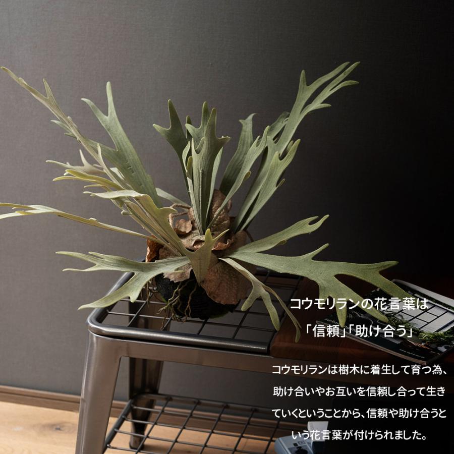 光触媒　人工観葉植物　ウォールグリーン　フェイクグリーン　コウモリランモスボール 光触媒人工観葉植物ウォールグリーンフェイクグリーンコウモリ