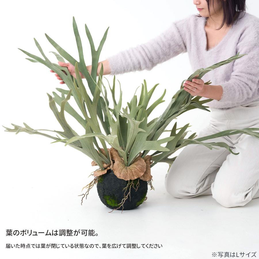 フェイクグリーン 壁掛け 壁 吊り下げ 卓上 置物 観葉植物