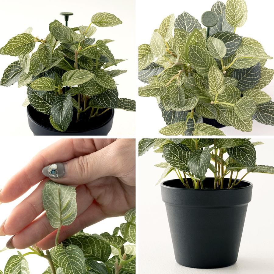 フェイクグリーン ミニ 鉢植 観葉植物 人工 造花 インテリア フェイクグリーン ミニ 鉢植 観葉植物 人工 造花 インテリア