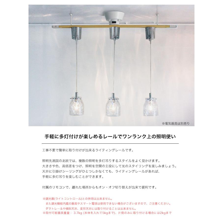 ディクラッセ　ペンダント照明　3色＋ライティングレール ワンタッチ ライティングレール | 広告紹介商品 | 【公式】ディ