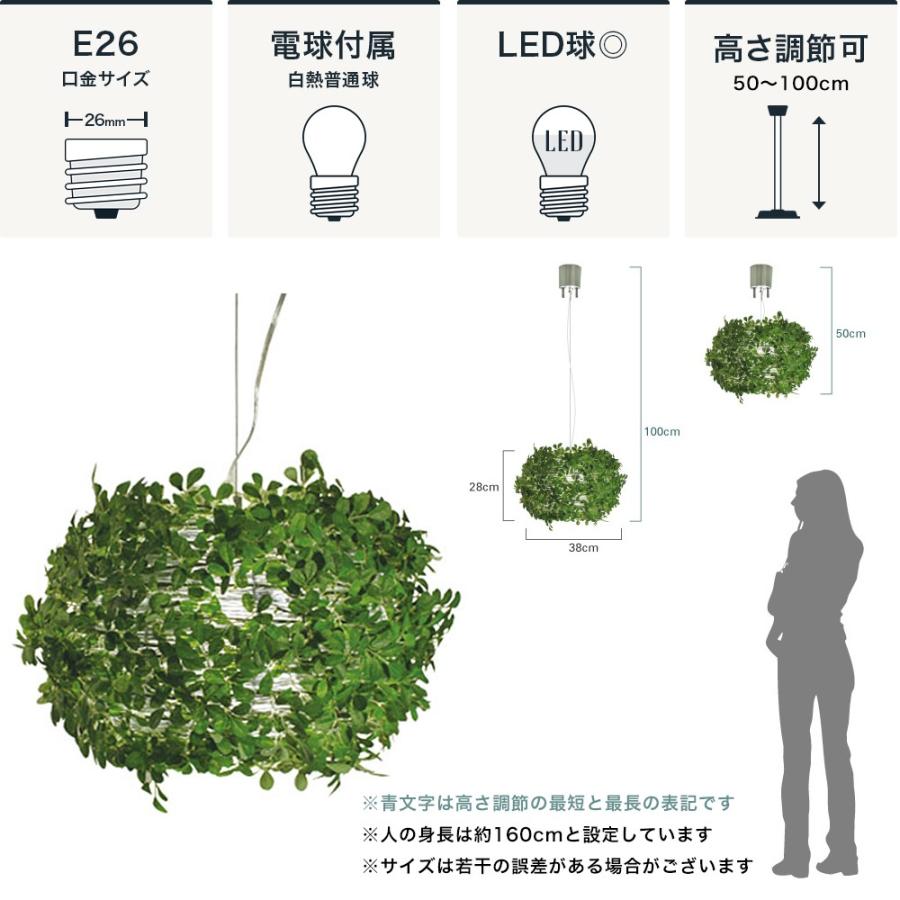 DI CLASSE（ディクラッセ） 照明器具 照明 おしゃれ 天井照明