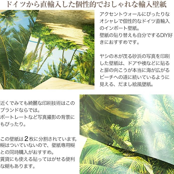 壁紙 おしゃれ 海 張り替え 自分で Diy クロス 輸入壁紙 Way To The Beach ビーチへの道 2 1313 紙製 Kger042 カーテン レールのインテリアデポ 通販 Yahoo ショッピング