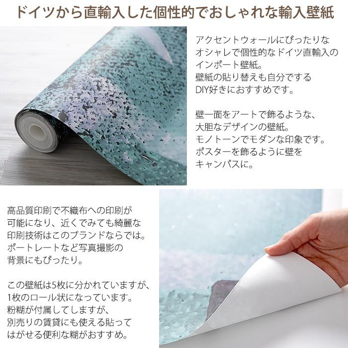 壁紙 おしゃれ アート 張り替え 自分で diy クロス 輸入壁紙 Fringe Upswept フリンジアップスイープ PRH-0864 フリース製 C-F-1_2