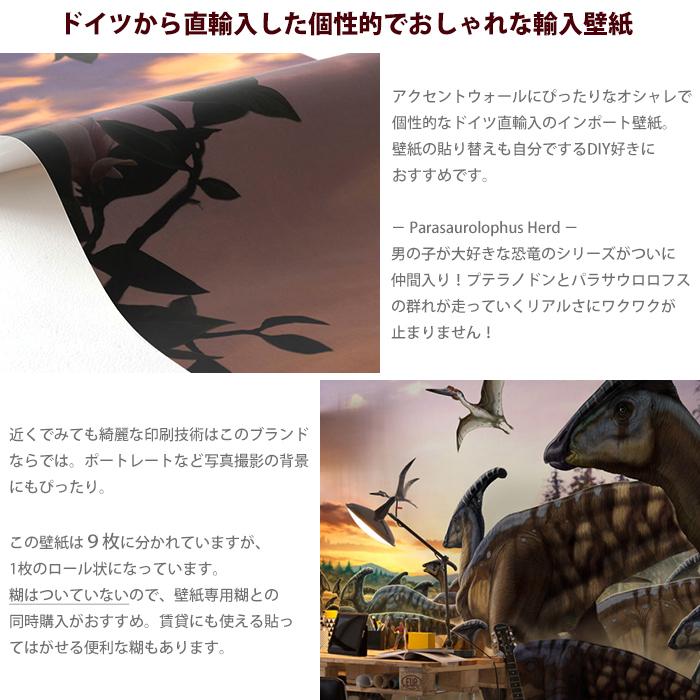 壁紙 おしゃれ 恐竜 張り替え 自分で Diy クロス 輸入壁紙 Parasaurolophus Herd Iangx9 013 フリース製 Csz Kger102 カーテン レールのインテリアデポ 通販 Yahoo ショッピング