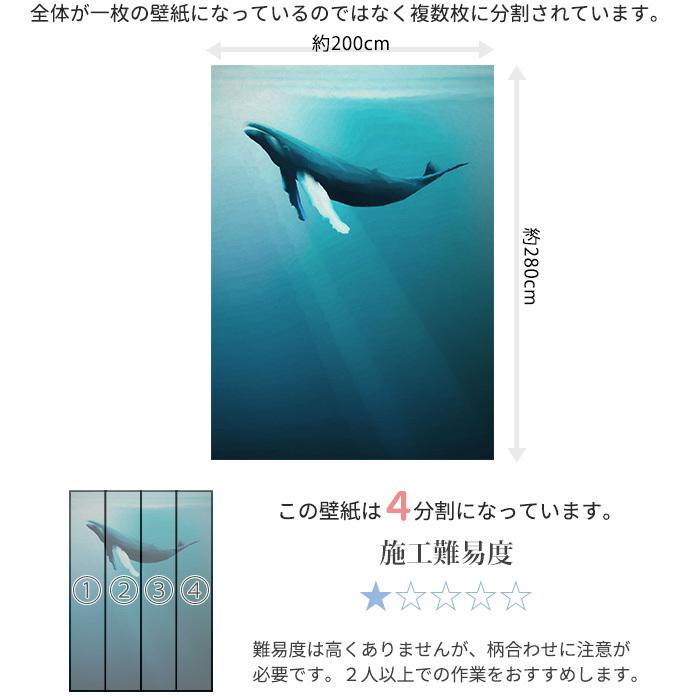 大人気商品 壁紙 おしゃれ クジラ 海 張り替え 自分で Diy クロス 輸入壁紙 Artsy Humpback Whale フリース製 Iax4 0045 Csz 壁紙 Alice Com Ve