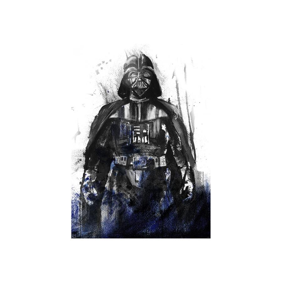 好評 壁紙 おしゃれ ディズニー スターウォーズ 張り替え 自分で Diy クロス 輸入壁紙 Watercolor Vader Iadx4 017 フリース製 Csz 壁紙 Panero Shop
