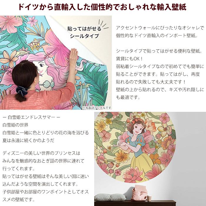 上品なスタイル 貼ってはがせる インテリアのアクセントに Diy 住宅設備 ディズニー 自分で 白雪姫 輸入壁紙 輸入壁紙 Dd1 005 張り替え Csz プリンセス 壁紙シール おしゃれ 在庫一掃sale