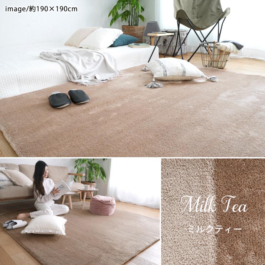 ERARE（エラーレ） ラグマット 洗える 新EXマイクロ2層ウレタンラグ