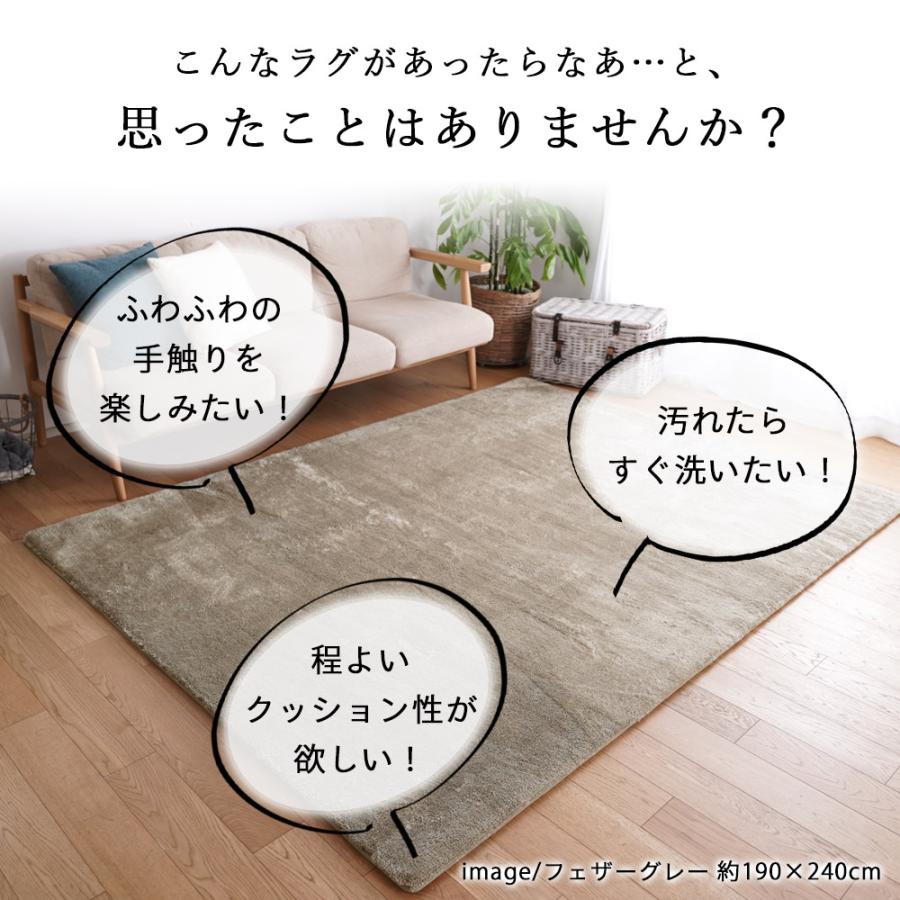ERARE ラグ ラグマット 洗える カーペット 絨毯 190×190cm ERARE（エラーレ） ラグ マイクロファイバー 2層ウレタン 190×190cm