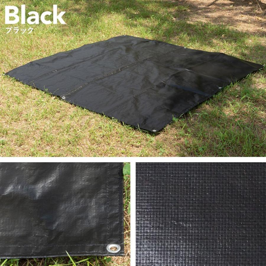ブルーシート ＃3000 色 カラーブルーシート 黒 白 レジャーシート