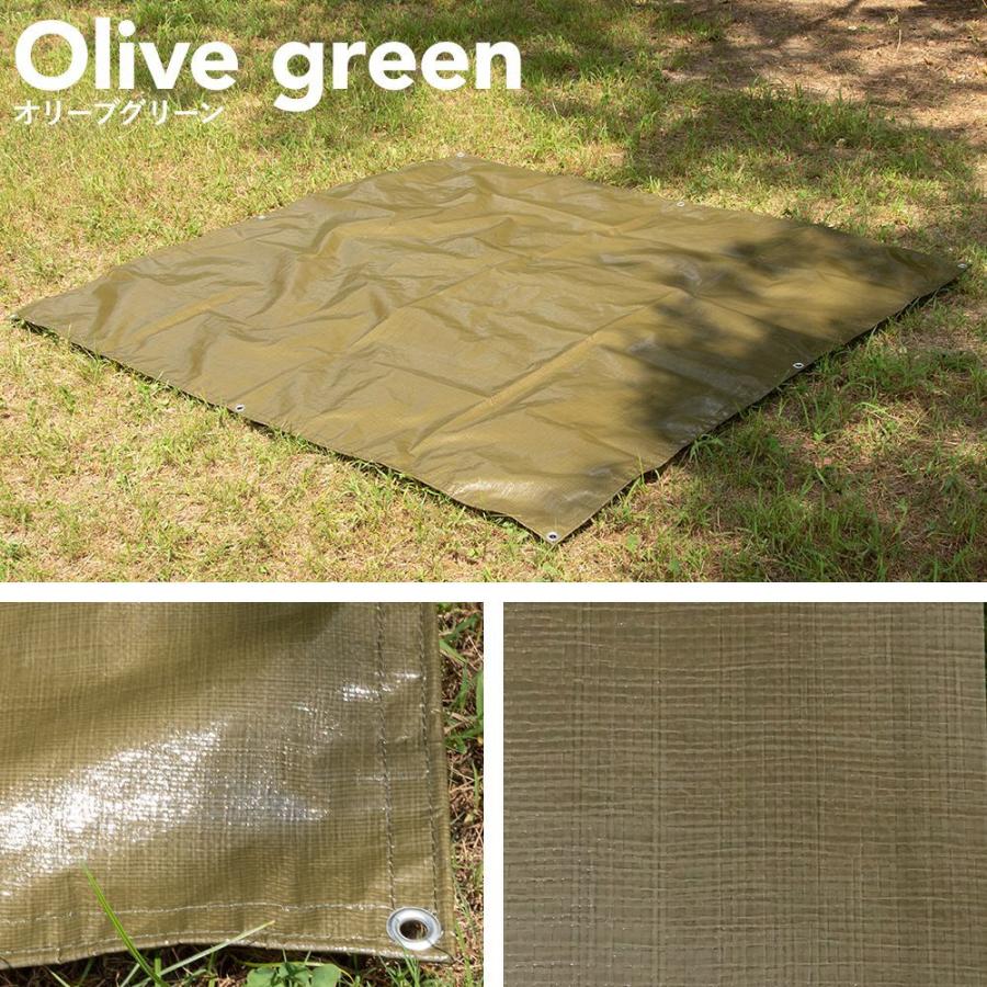 ブルーシート カラー 色 防水 厚手 ビニールシート レジャーシート 養生シート 作業シート 黒 白 緑 おしゃれ 防災 3000 180cm 180cm Ft Jq P Ftbc3000a Diy 壁床窓インテリア内装イゴコチ 通販 10 グリーンシートレジャーシート ビニールシート防水 厚手 災害対策