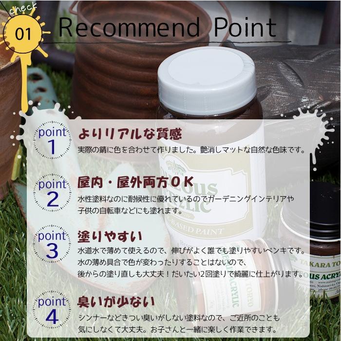 塗料 錆 サビ エイジング塗料 ペンキ DIY 水性塗料 錆エイジングセット